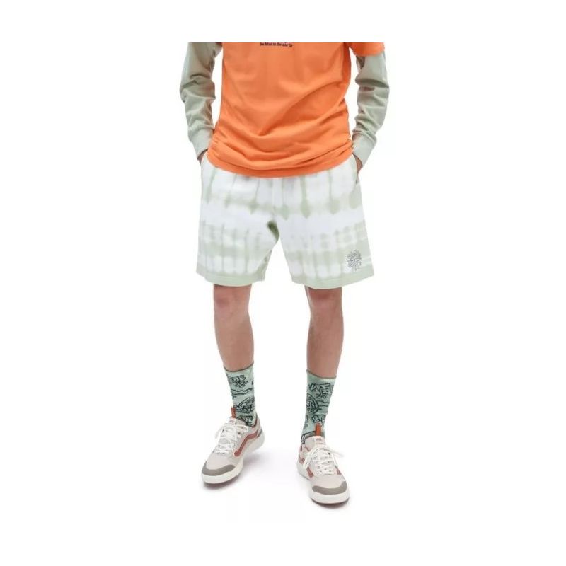 Pantaloni scurți pentru bărbați Vans Peace Of Mind-01